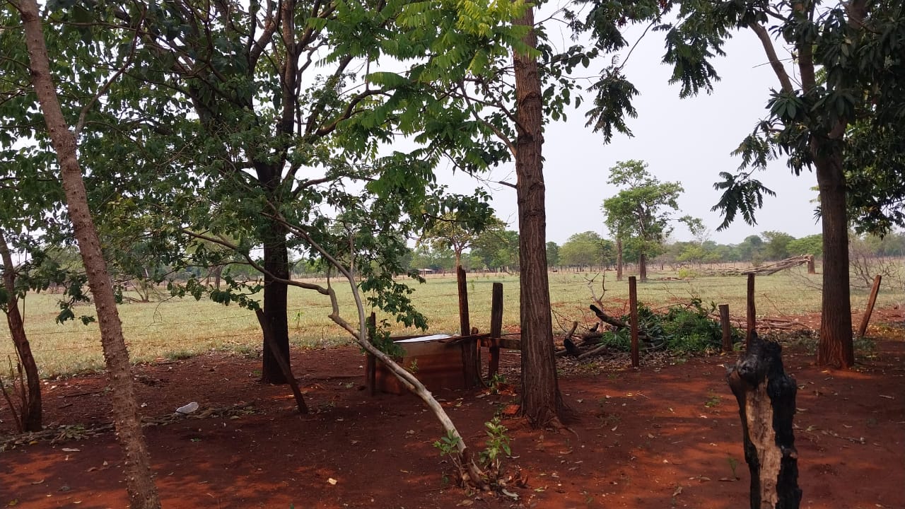 IMG-20250411-WA0177