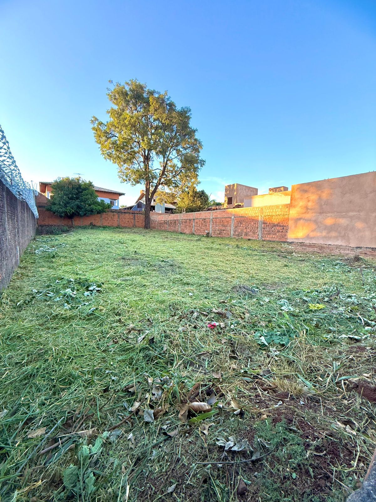 WhatsApp Image 2026-01-20 at 09.55.33