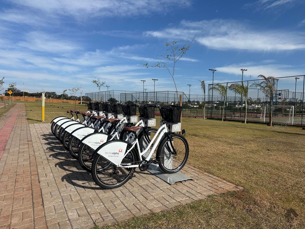 imgi_34_1754935416_72517