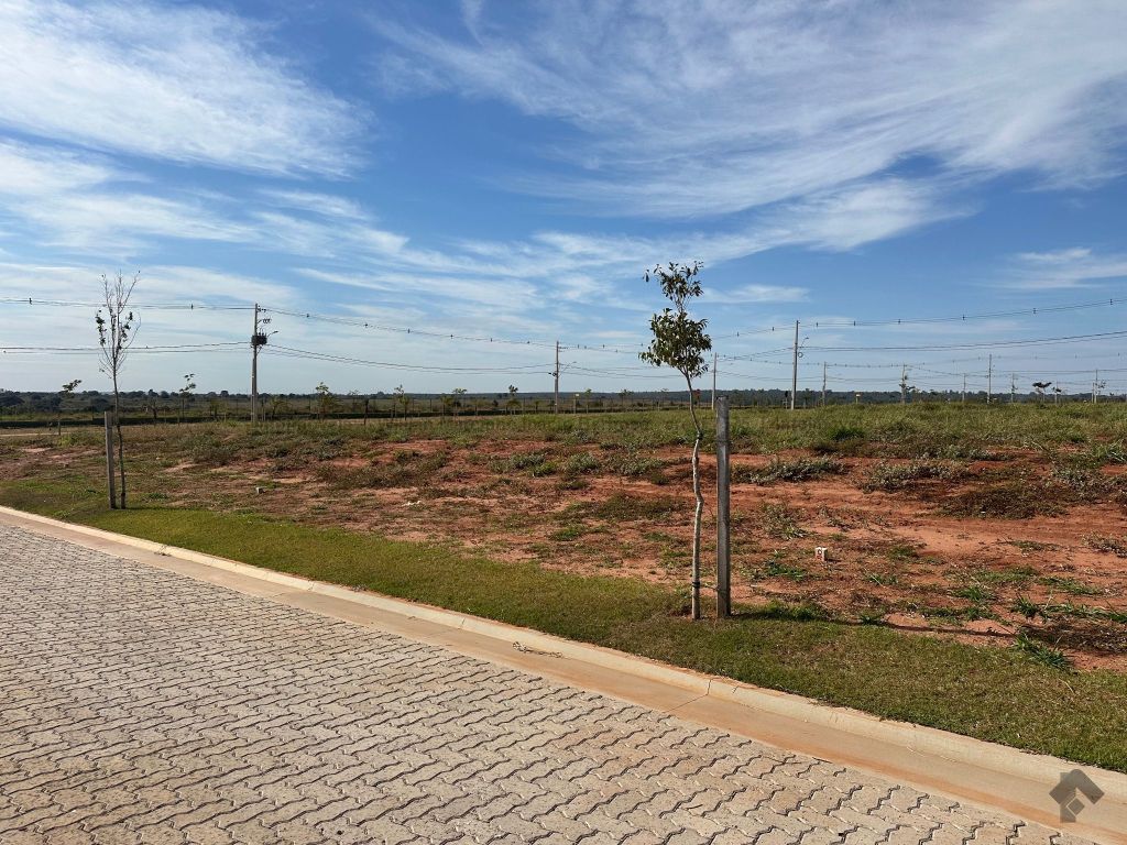 imgi_59_1754935418_49701